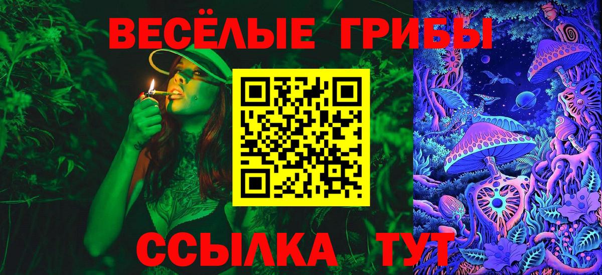 Галлюциногенные грибы Cubensis Кубинка