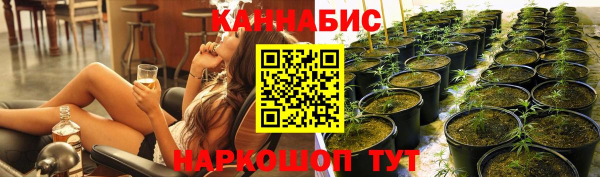 Конопля тримм  Канабис MAZAR  Вход с VPN  Кубинка  Шишки марихуана марихуана 